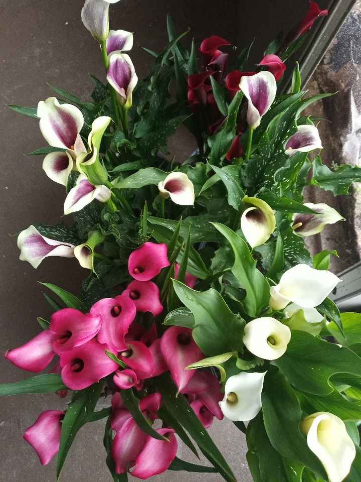 Not hiring florist - 2