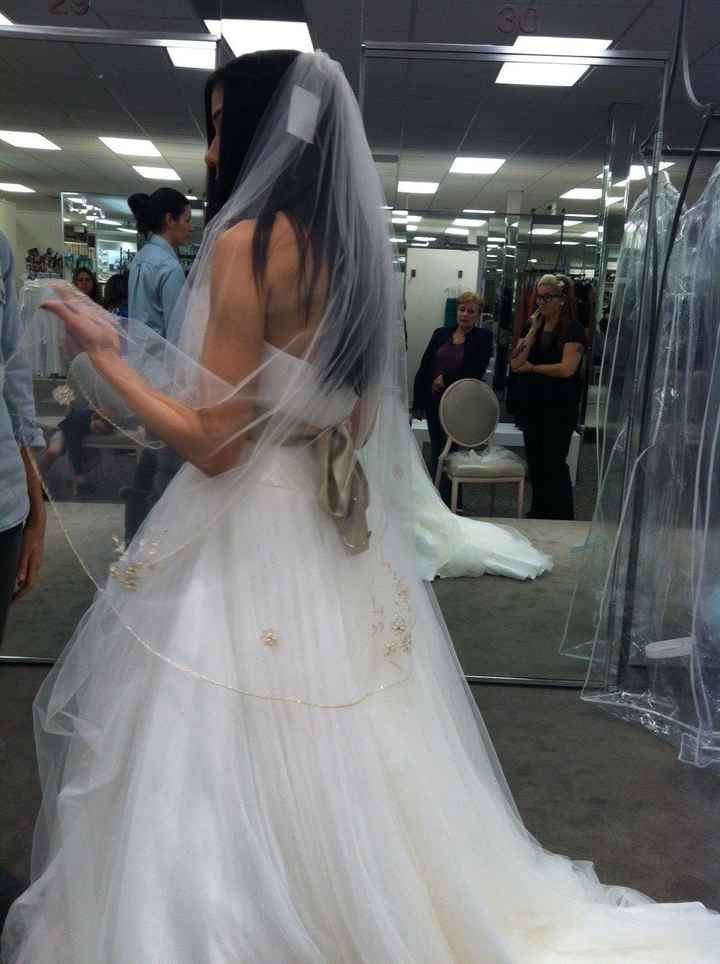 Said Yes to the dress!