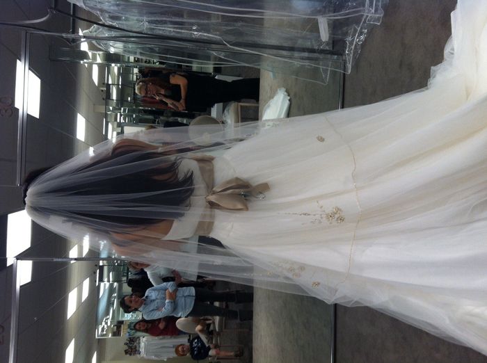 Said Yes to the dress!