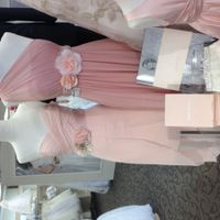 Said Yes to the dress!