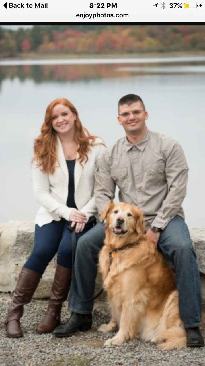 The pictures you WERENT expecting...