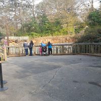 Trying to decorate a ...not pretty....asphalt aisle