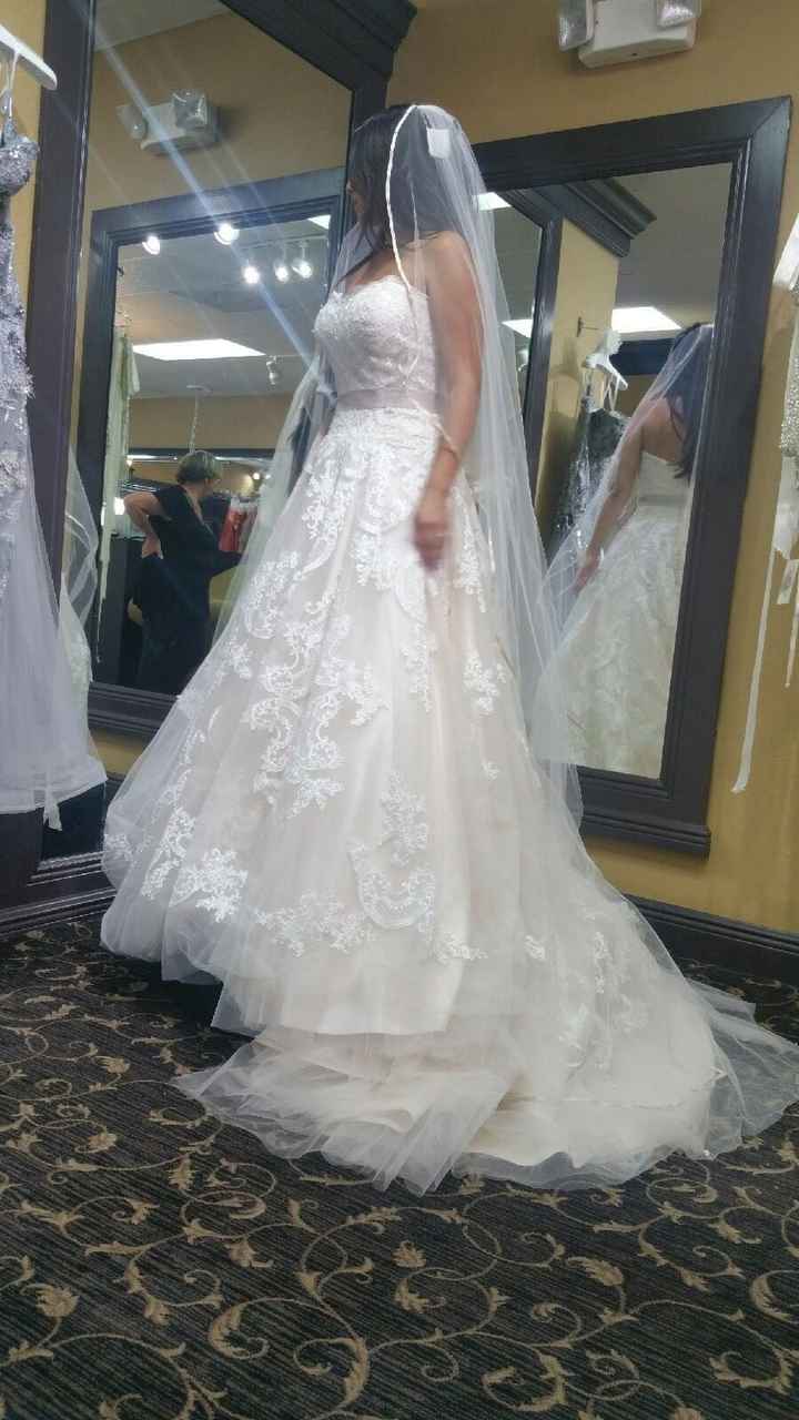 Blush/Pink wedding gown