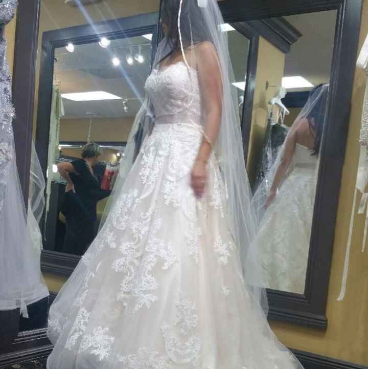 So many beautiful dresses!