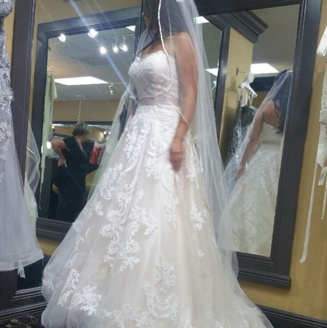 I said YES to the dress!!!  :)