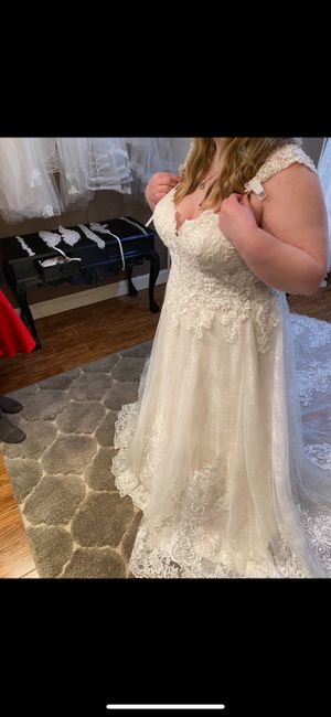 i said yes to the dress! 3