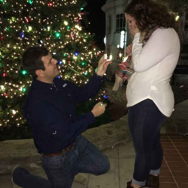 Proposal Photos