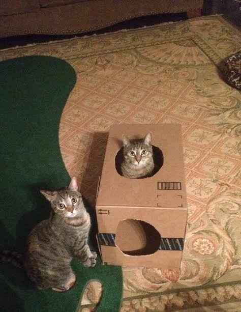 Don't want to make an intro? Do it here.