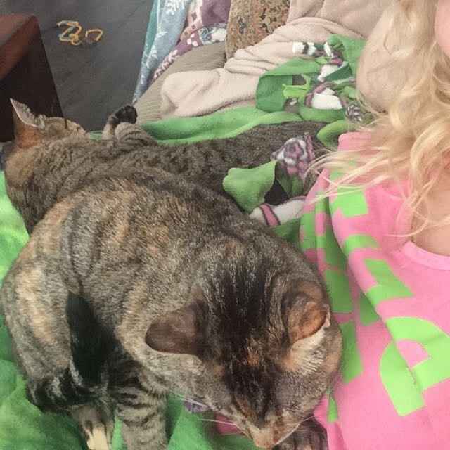 Fur Babies (Give the Best Hugs)