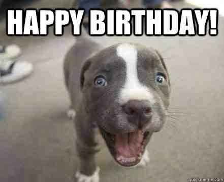 So, it's VM's Birthday...