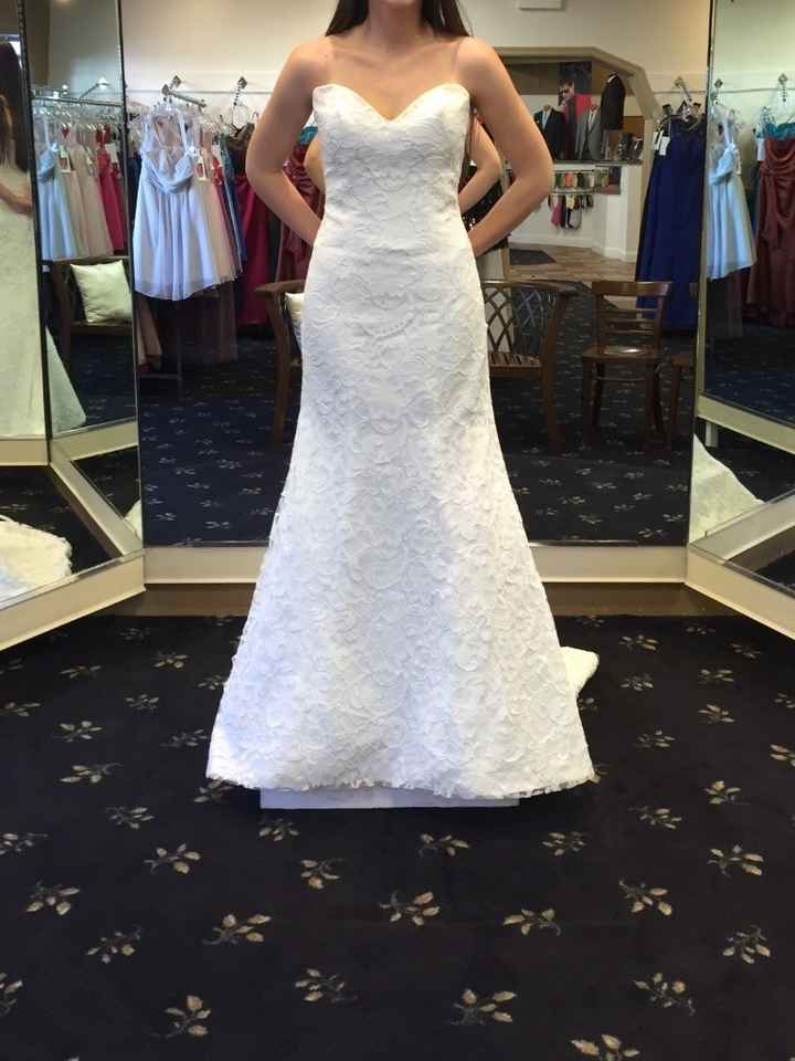 Need opinion on adding sleeves to my dress