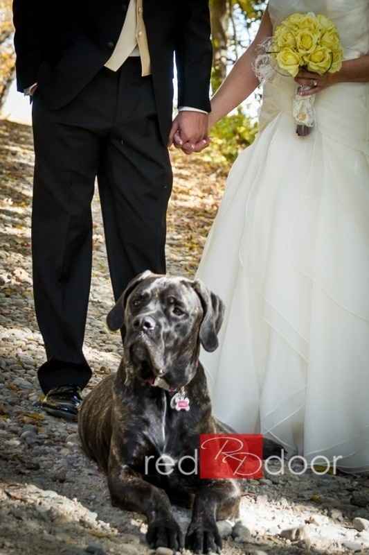 NWR: Pet Post