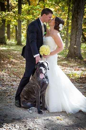 Pets at the Wedding