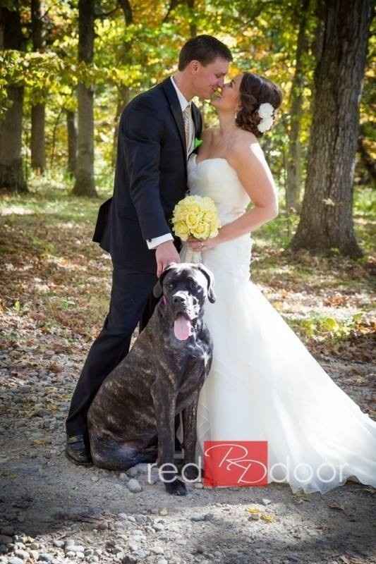 Pets Incorporated Into Wedding?