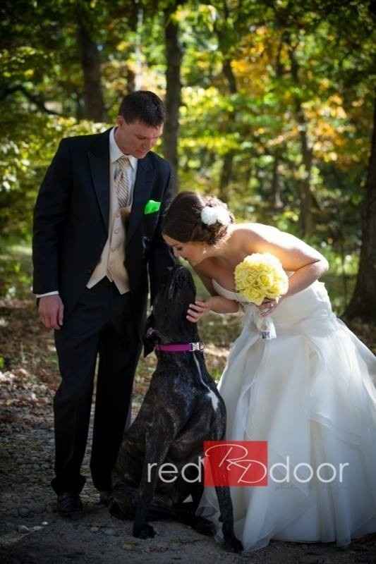Pets Incorporated Into Wedding?
