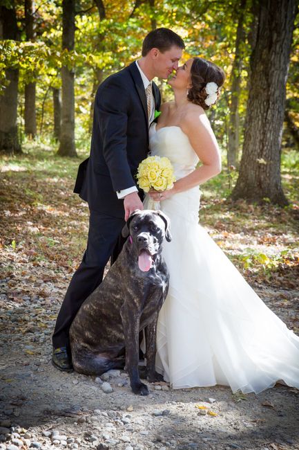 NWR: Fur Baby! :)