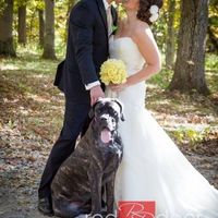 Pets Incorporated Into Wedding?