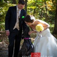 Pets Incorporated Into Wedding?