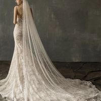 Let me see your veils! - 2