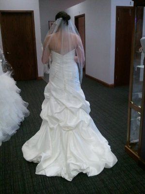 I Think my FH is going to hate my Dress...Opinions would be helpful, *pictures included!*