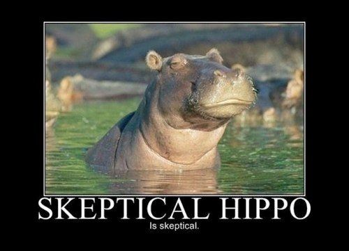 This is how I feel about wedding planning....