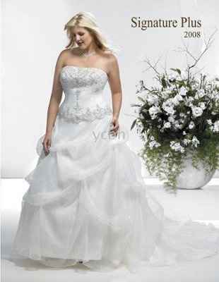 Just curious about your dream dress..