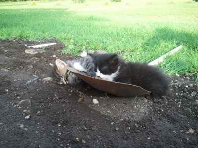 Adopted our 1st baby! (PICS)