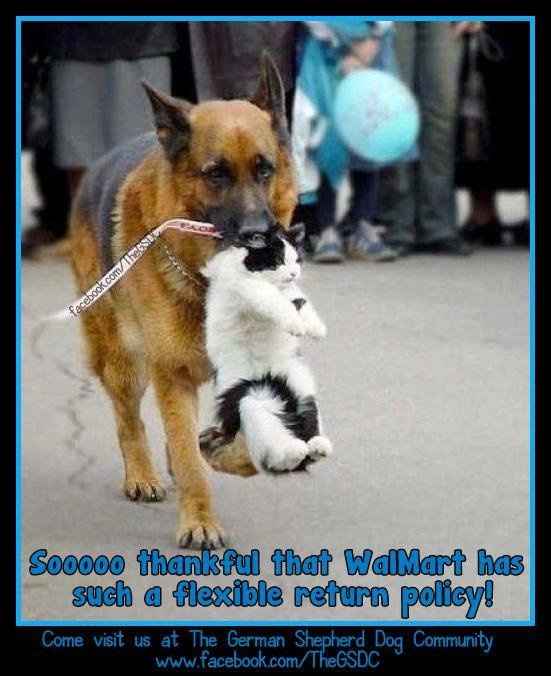 Mrs S...I had to giggle when I saw this!