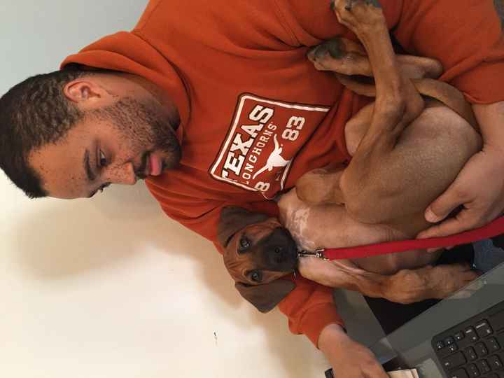 NWR: Nervous Nelly, NCLEX