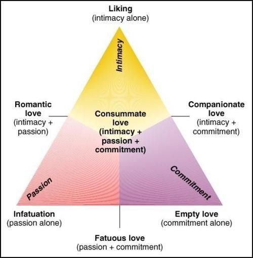 Sternberg's Theory