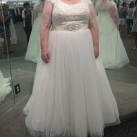 Davids Bridal Dresses!