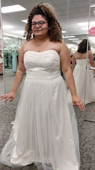 Sample dress sizes? - 2