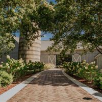 Couples getting married on August 21, 2020 - 1