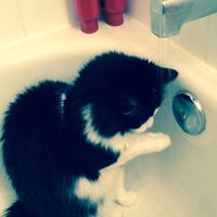 NWR: Meet our new furbaby!