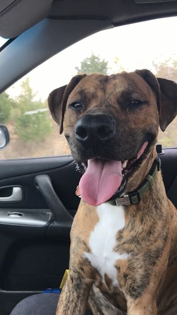 NWR:  Show me your fur babies!