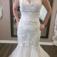 Started dress shopping today..