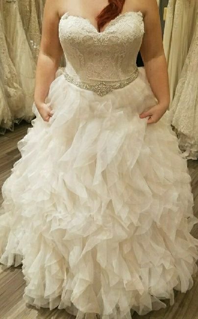 Found the Dress! Show Me Yours! 3