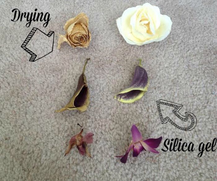 How Much Did You Spend on Flowers? 4