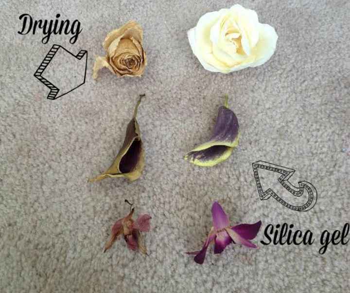How Much Did You Spend on Flowers? - 1