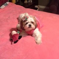 Show me your fur babies!