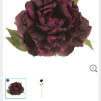 Help picking wedding flowers