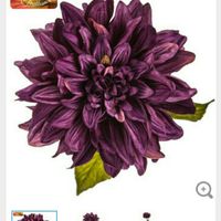 Help picking wedding flowers