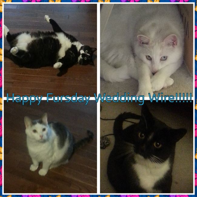 NWR Happy Fursday!!!