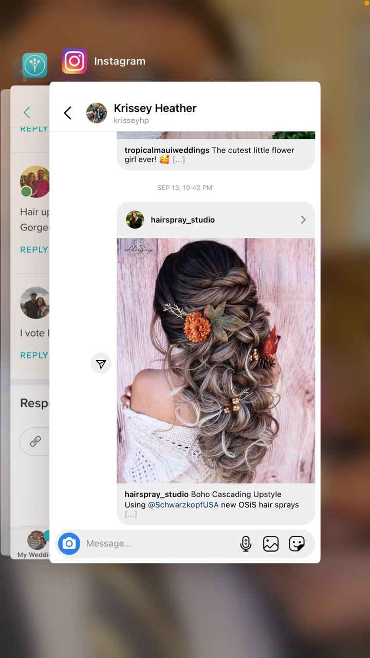 Hair up or down? Dress pictures included! - 1