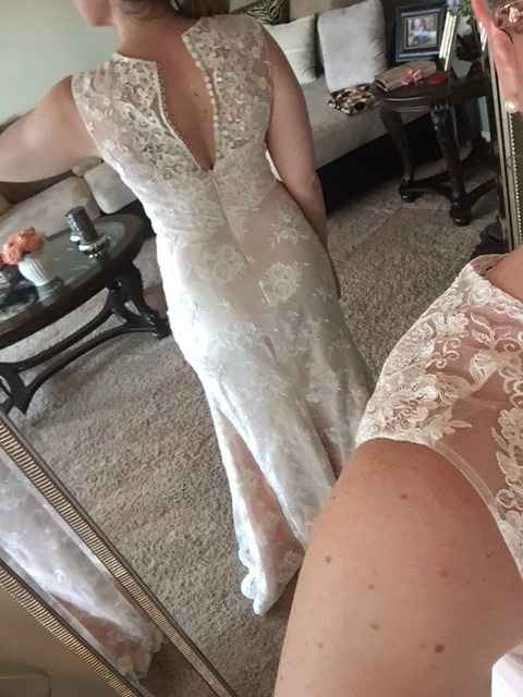 The back