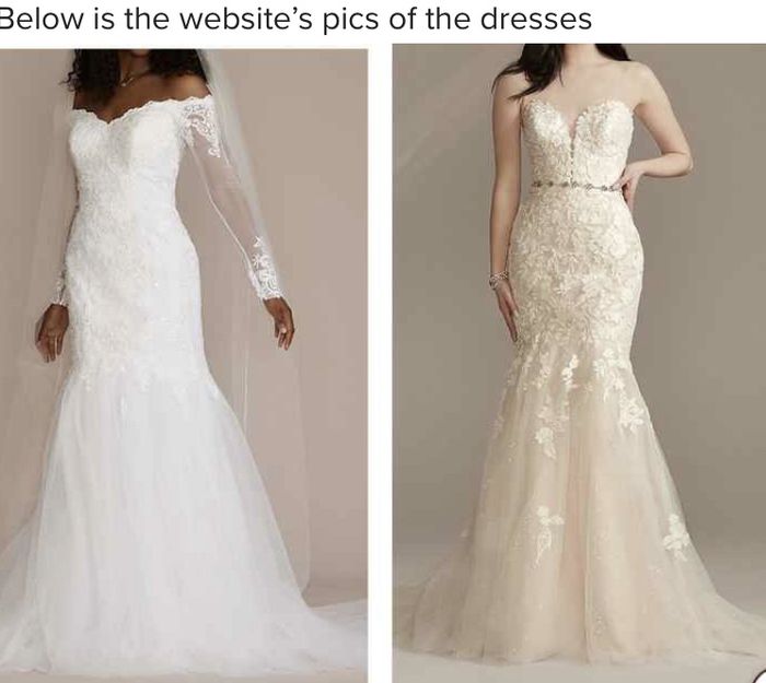 Mermaid sleeveless or Off the shoulder mermaid? 2