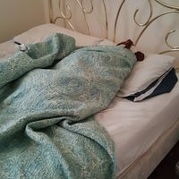 NWR: My pup thinks she's people. She's right. Show me your "people pups!"