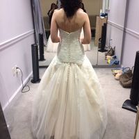 Show me your bustles