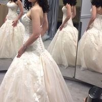 Bustle love. How many points did you have?