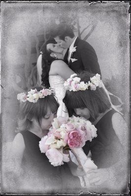 Wedding Pics